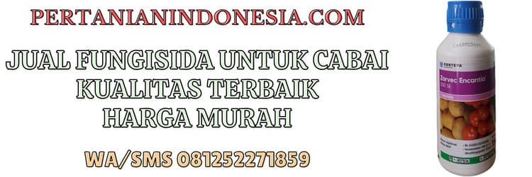 jual,murah,pertanian indonesia,jual fungisida untuk cabai,jual fungisida untuk cabai murah